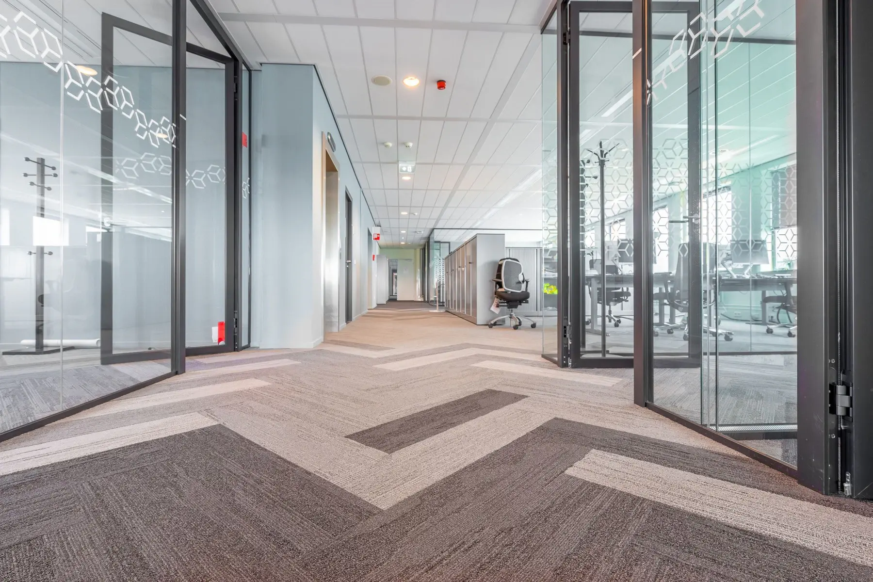 Heller Büro- und Eingangsbereich mit Glaswänden